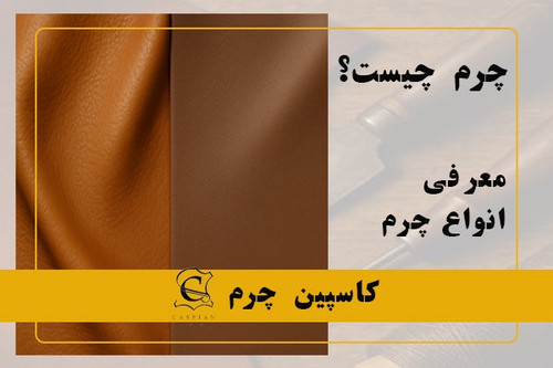 چرم گاوی چیست؟